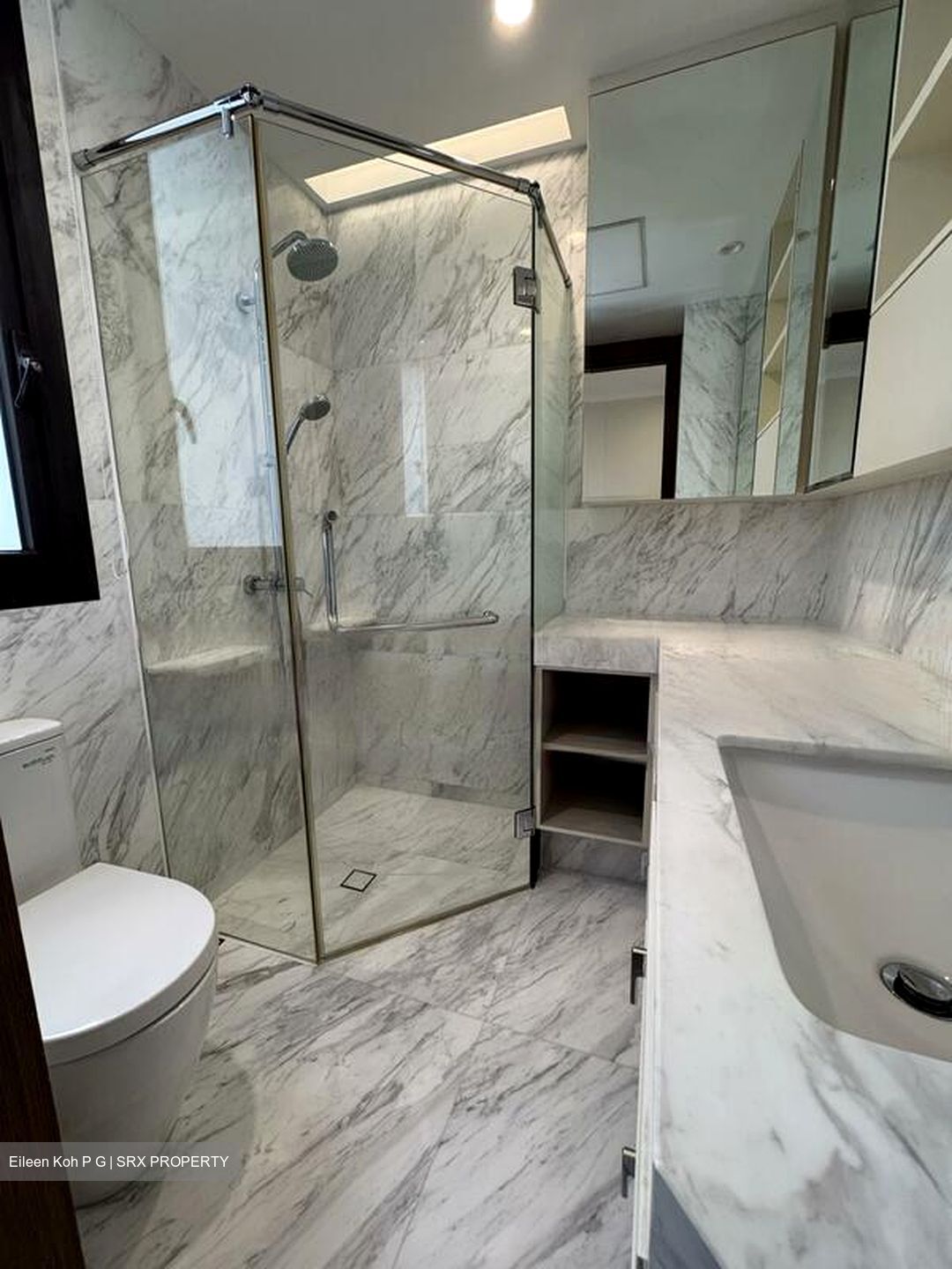 Ardmore Park (D10), Condominium #482282051